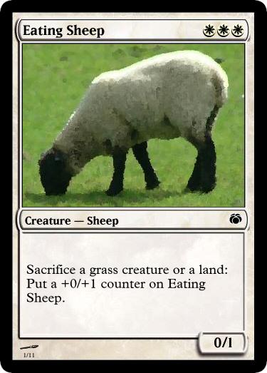 Eating Sheep